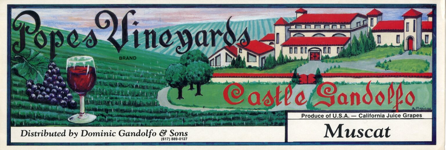 Popes Vineyards Popes Vineyards